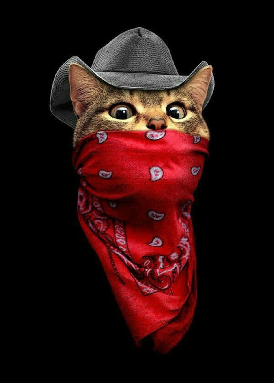 Blood Gang Kitty Cat Mask And Hat Wallpaper