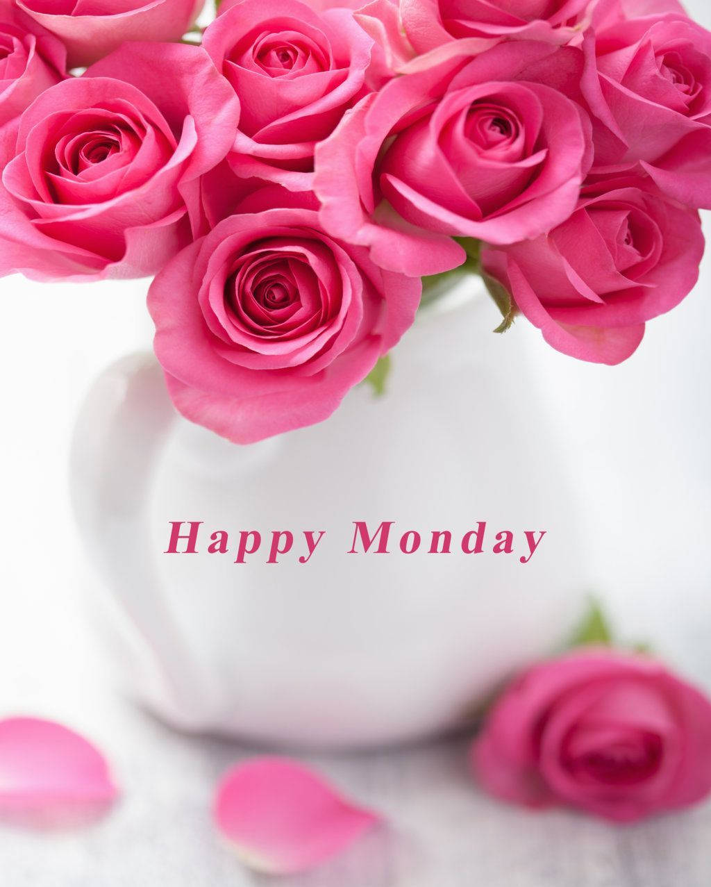 Bloom Towards A Lush Week With Monday Roses Wallpaper