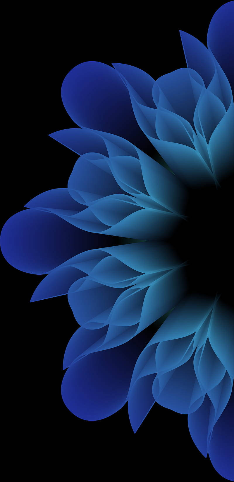 Blue Roses On Samsung Galaxy Note 7 Wallpaper