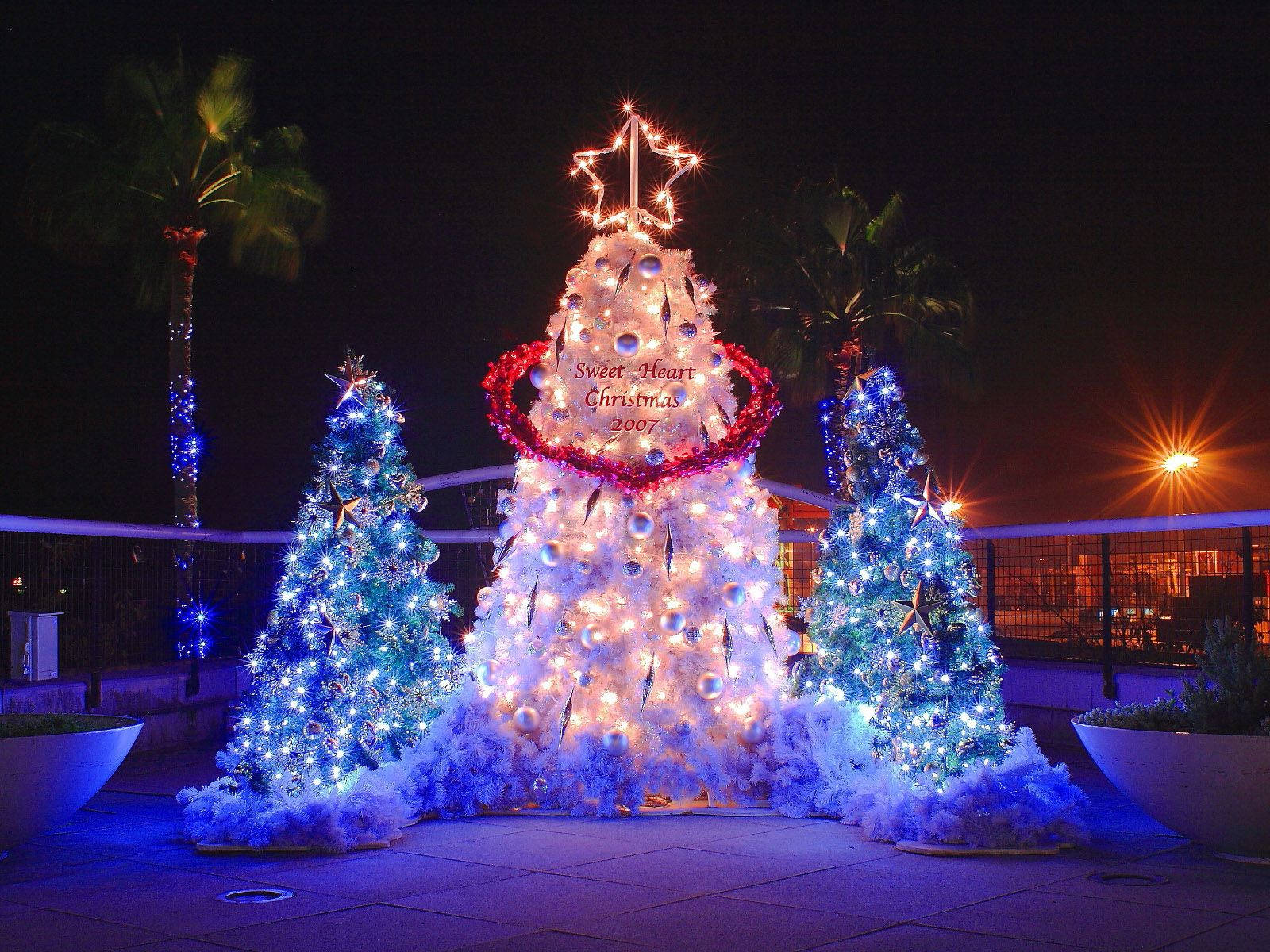 Blue Tree Christmas Lights Deck Wallpaper