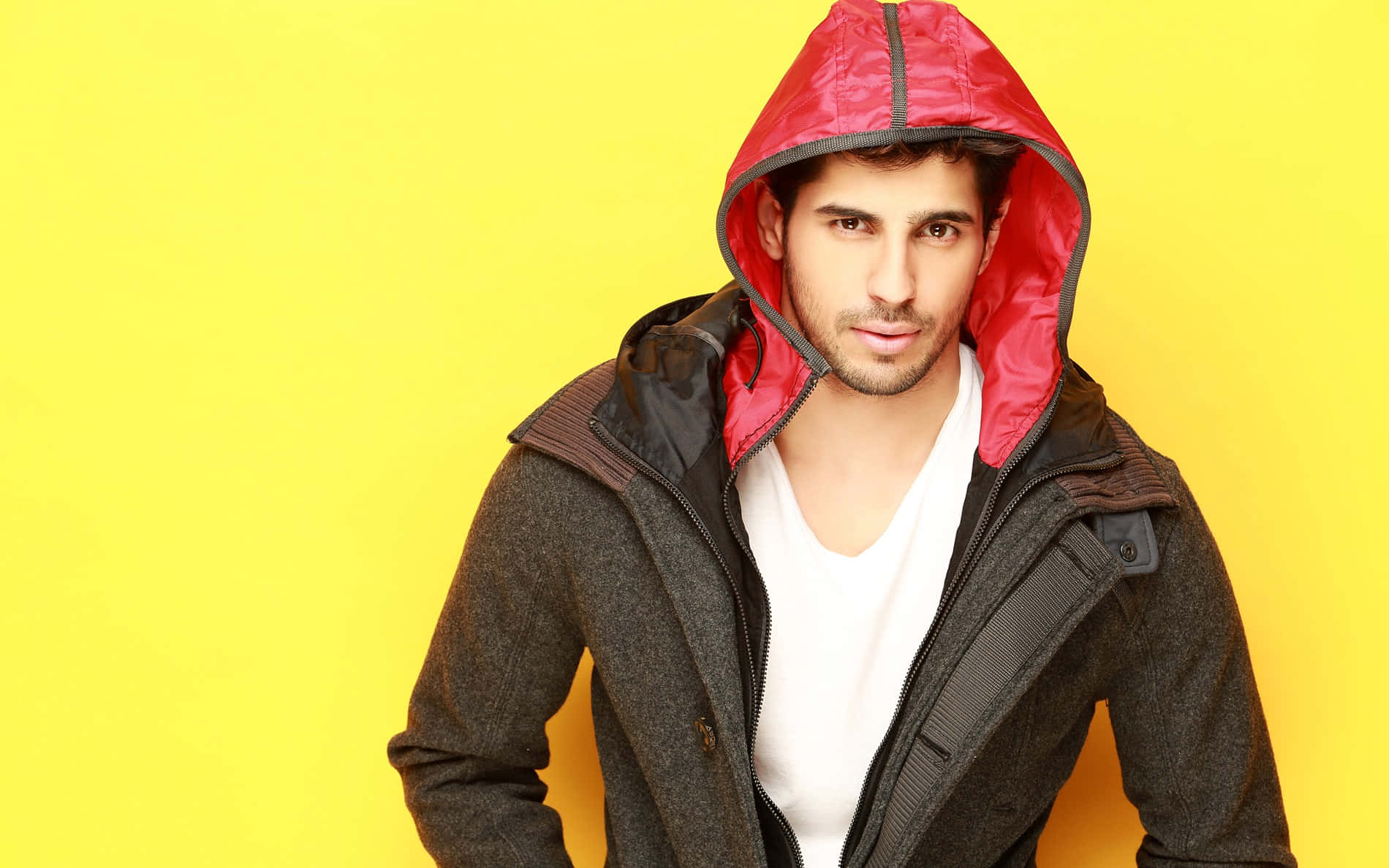 Bollywood Hero Fashion Model Sidharth Malhotra Wallpaper