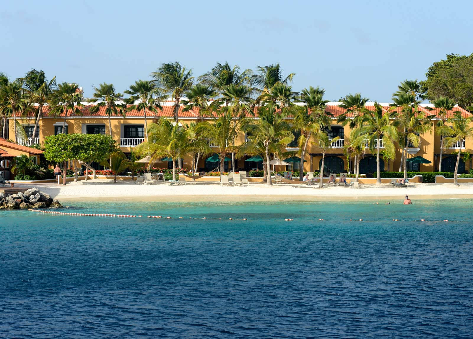 Bonaire Palm Trees Wallpaper