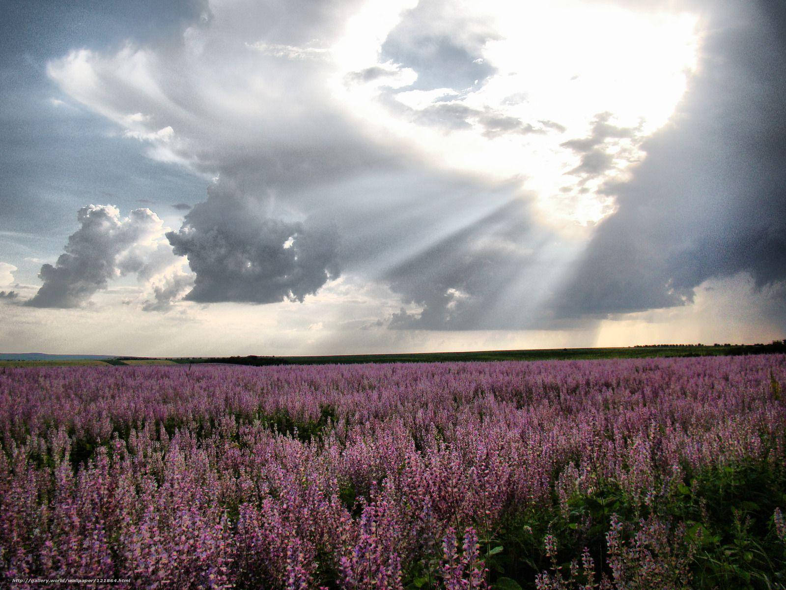 Breathtaking Scenery Of Moldova Countryside Wallpaper