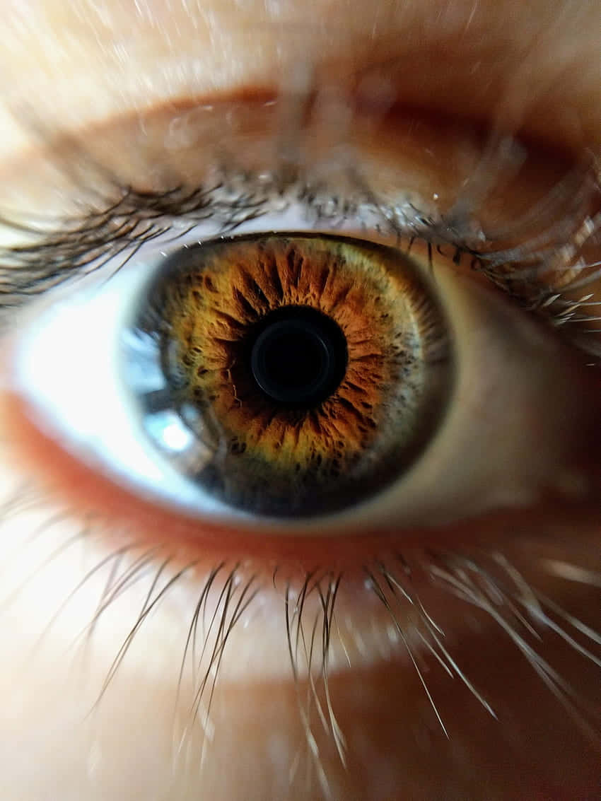 Bright Hazel Eye Super Closeup Wallpaper