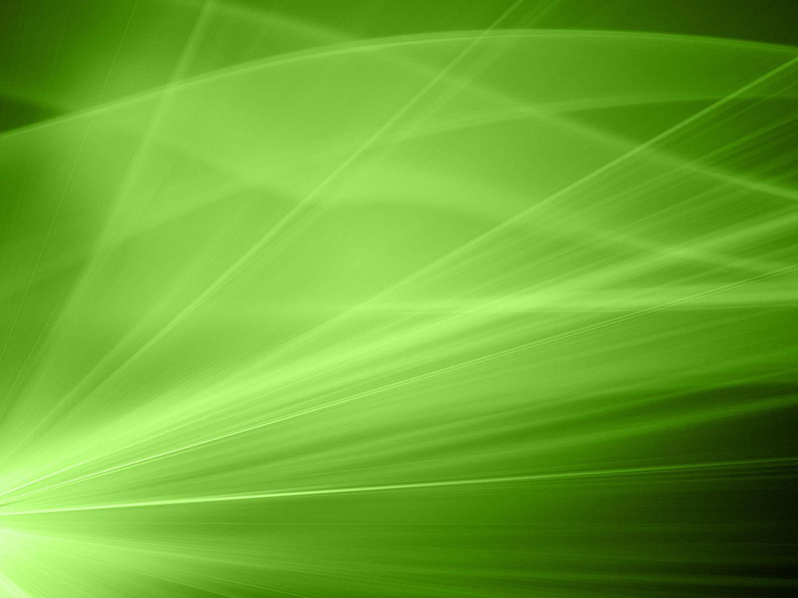 Bright Light Green Lines Wallpaper