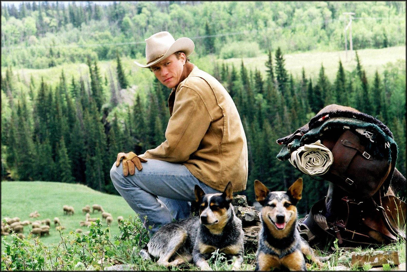 Brokeback Mountain Ennis Del Mar Cattle Dogs Wallpaper