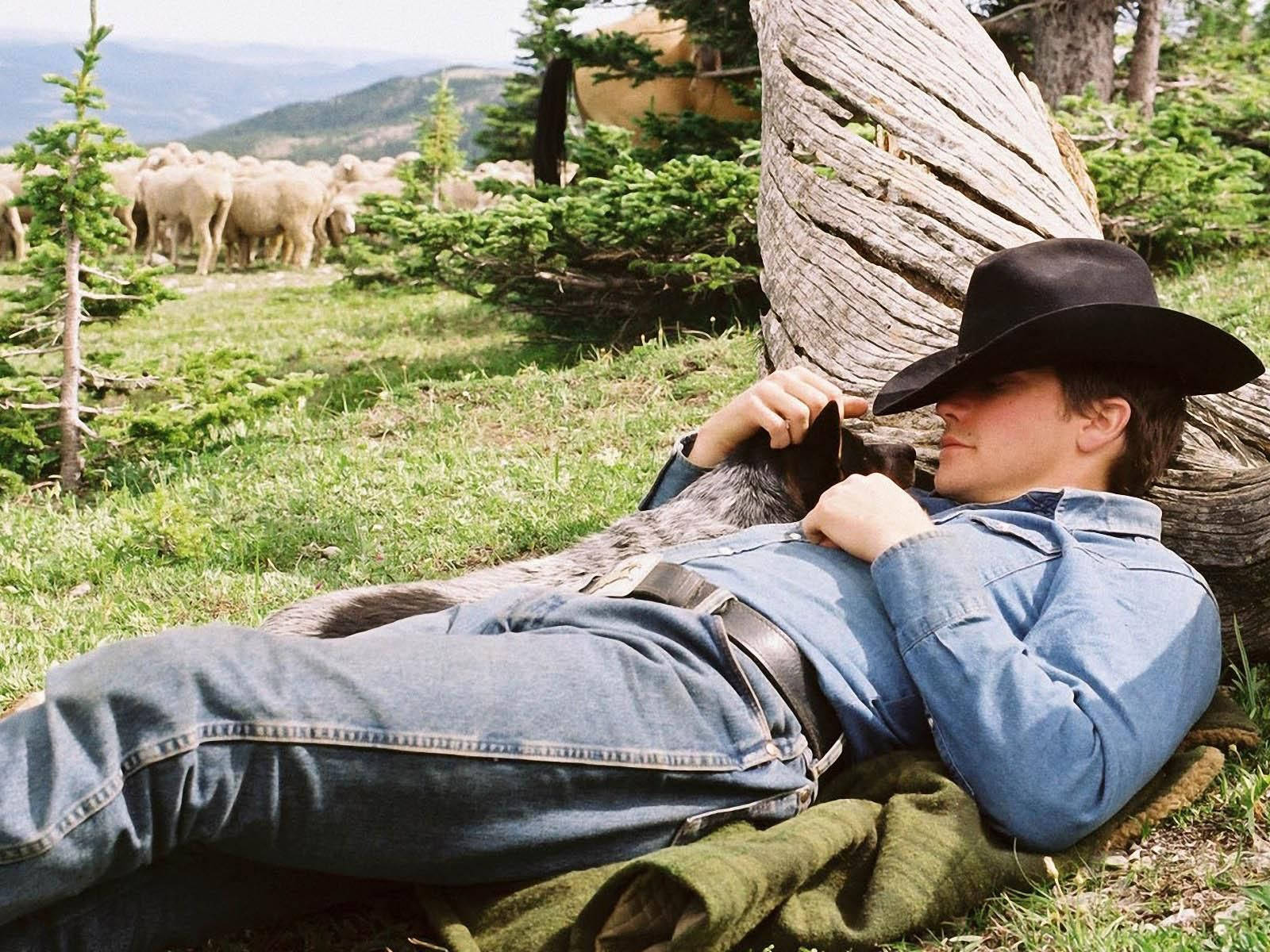 Brokeback Mountain Jake Gyllenhaal Wallpaper