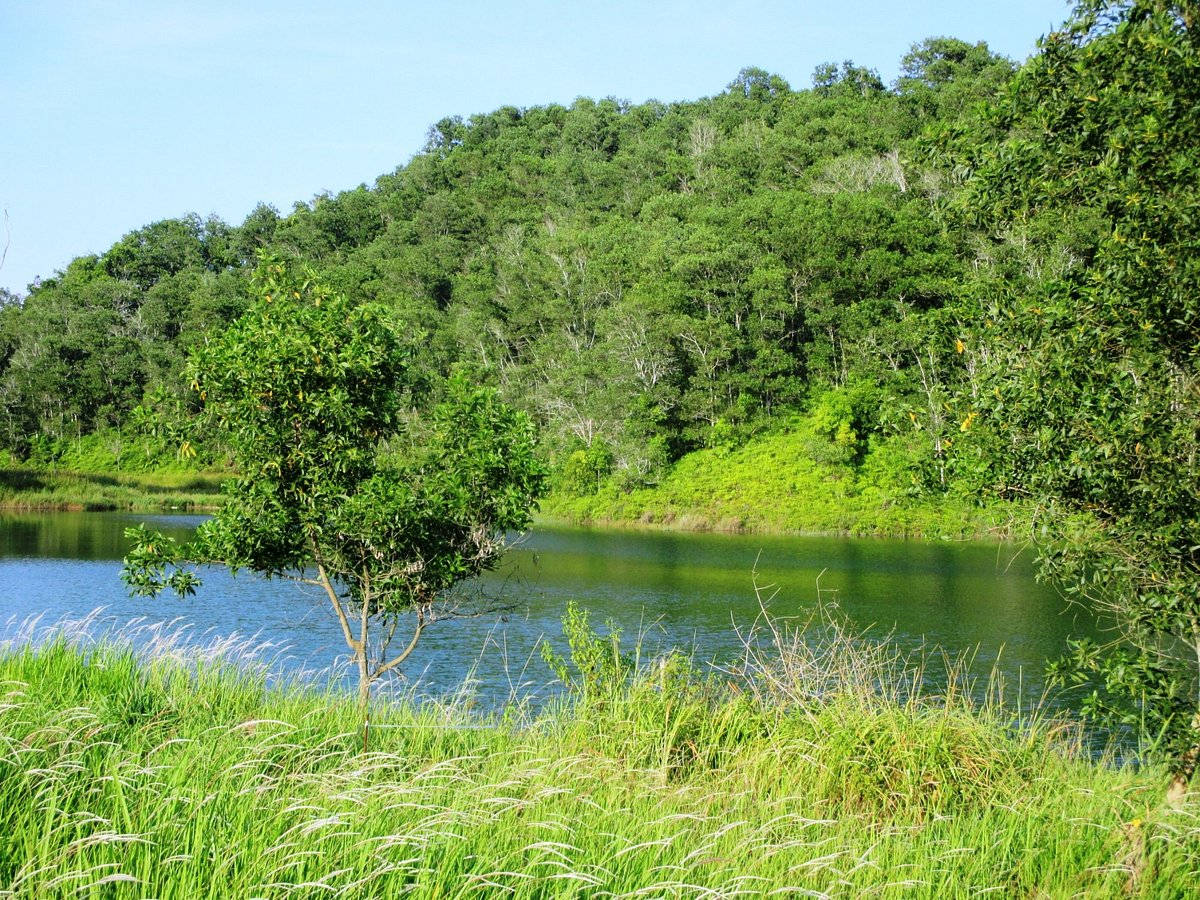 Brunei Lugu Lake Wallpaper