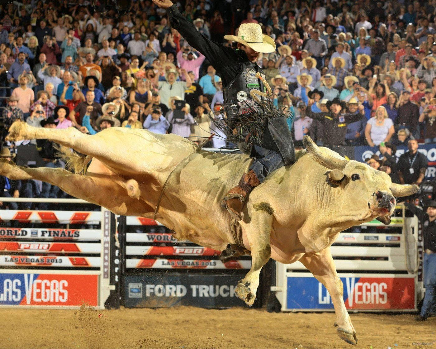 Bull Riding Show At Tonopah Wallpaper