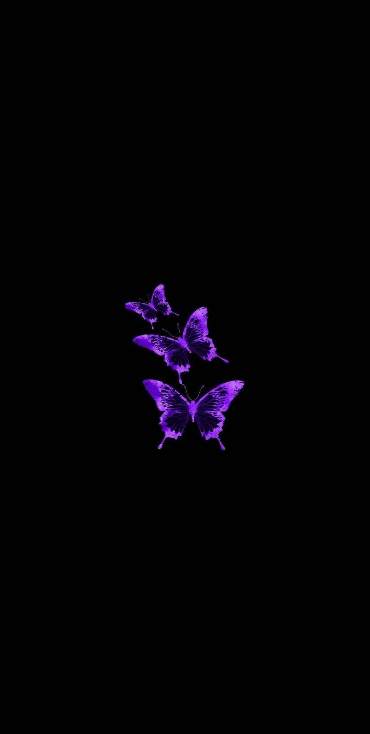 Butterflies On Black And Purple Phone Wallpaper