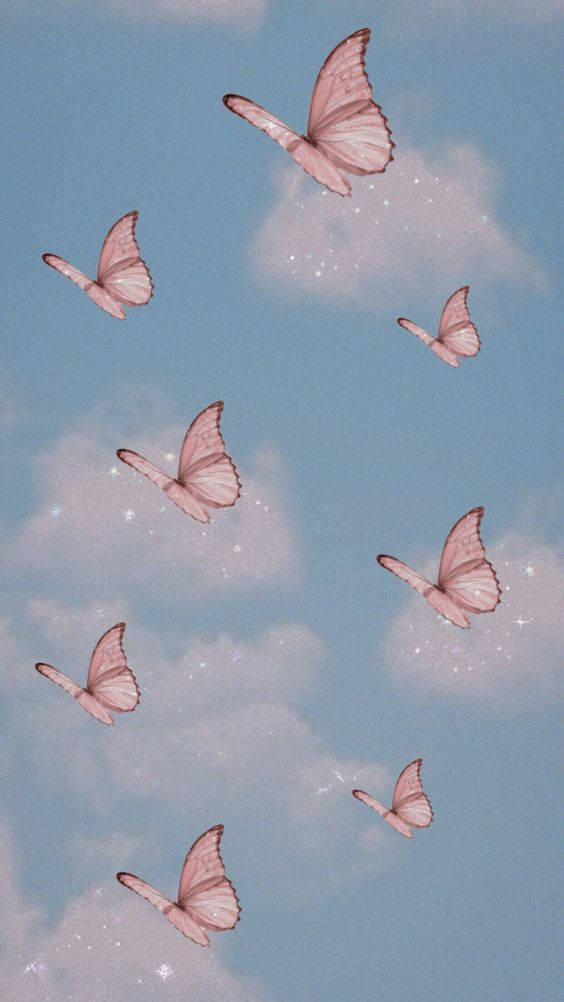 Butterfly Pastel Aesthetic Wallpaper