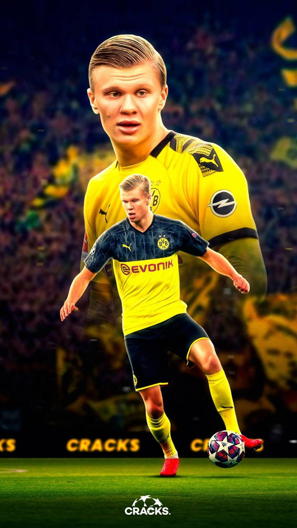 Bvb Striker Haaland Fanart Wallpaper