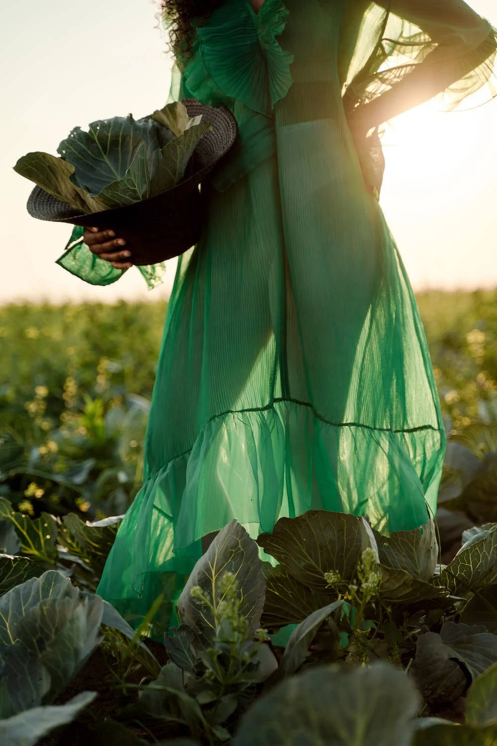 Cabbage Green Dress Wallpaper