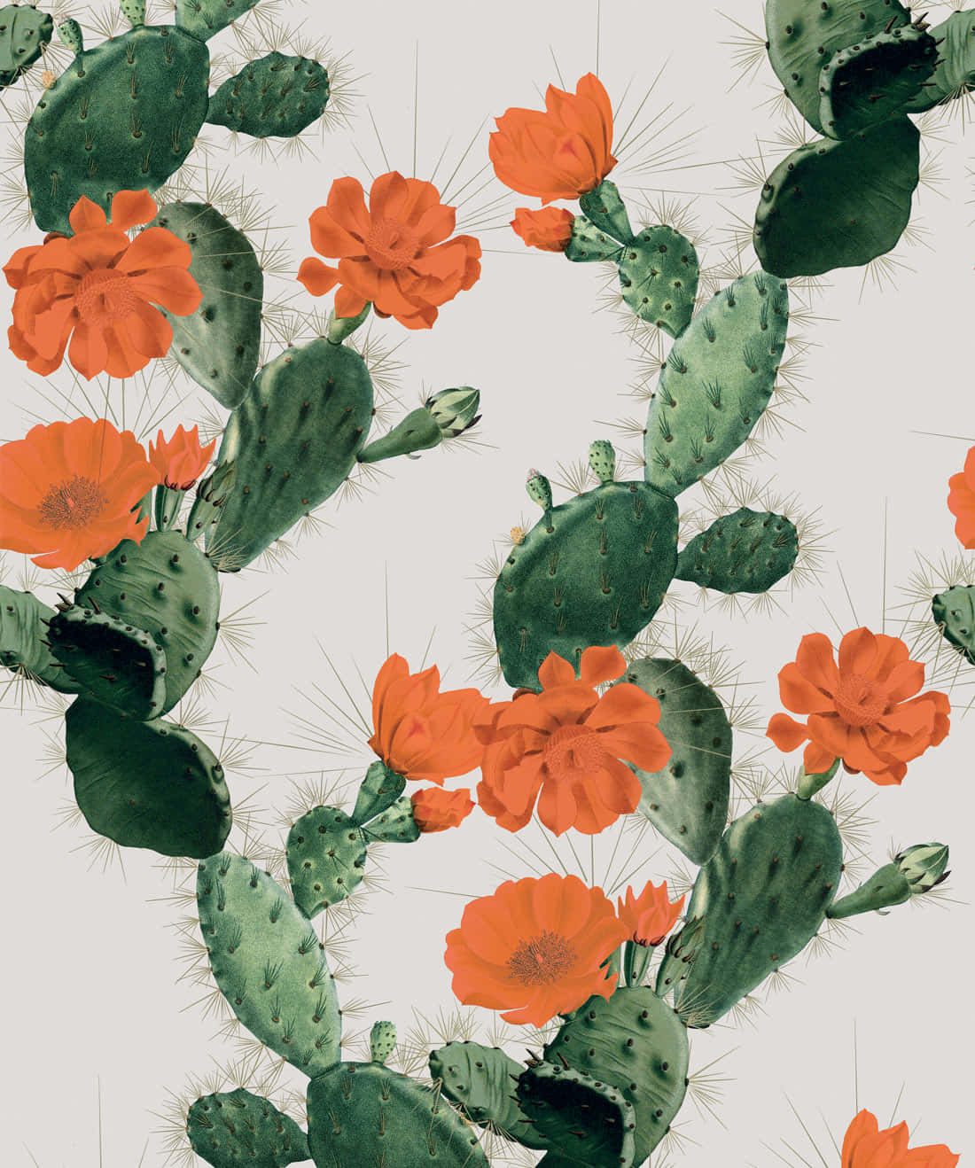 Cactus Flower Paint Wallpaper