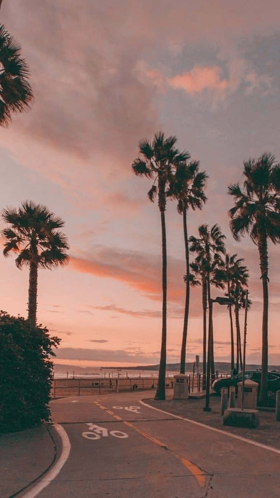 California Tall Palm Trees Iphone Wallpaper