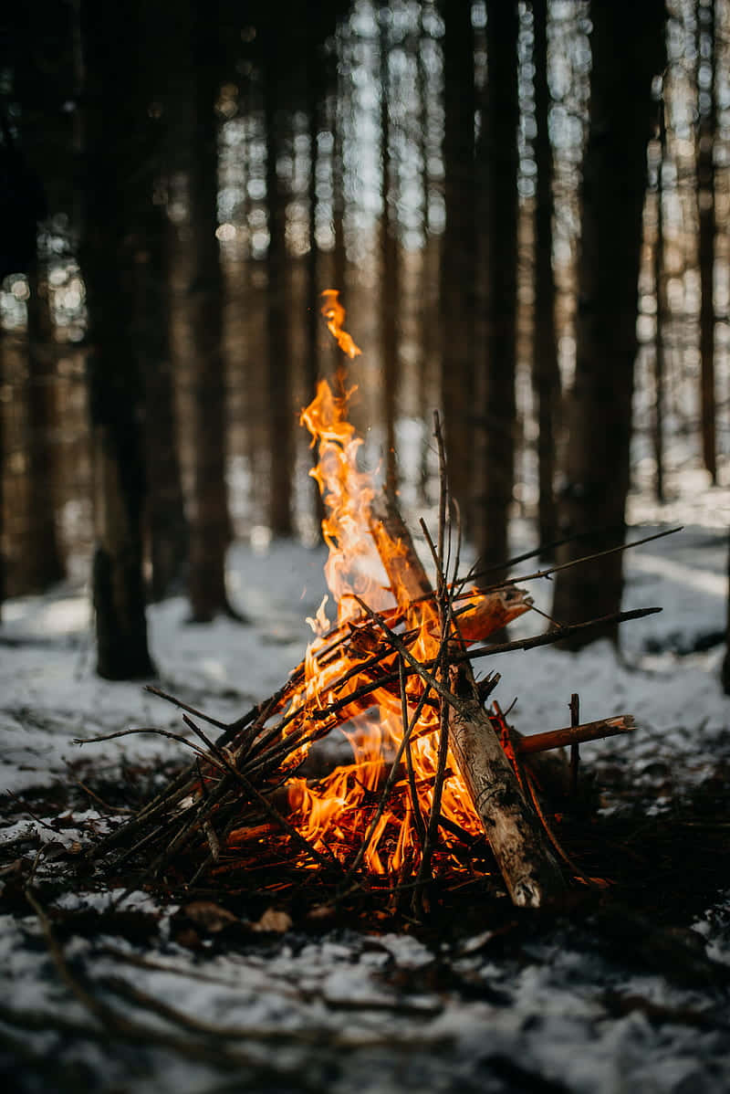 Campfire Snowy Ground Wallpaper