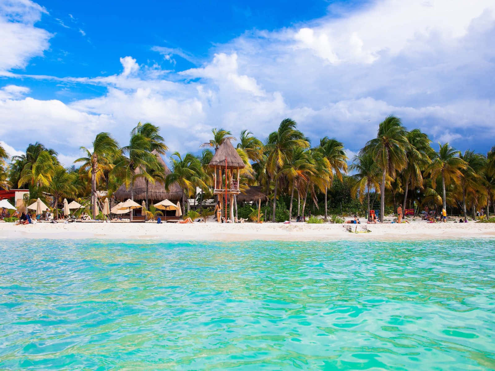 Cancún, Mexico Beach Trees Wallpaper