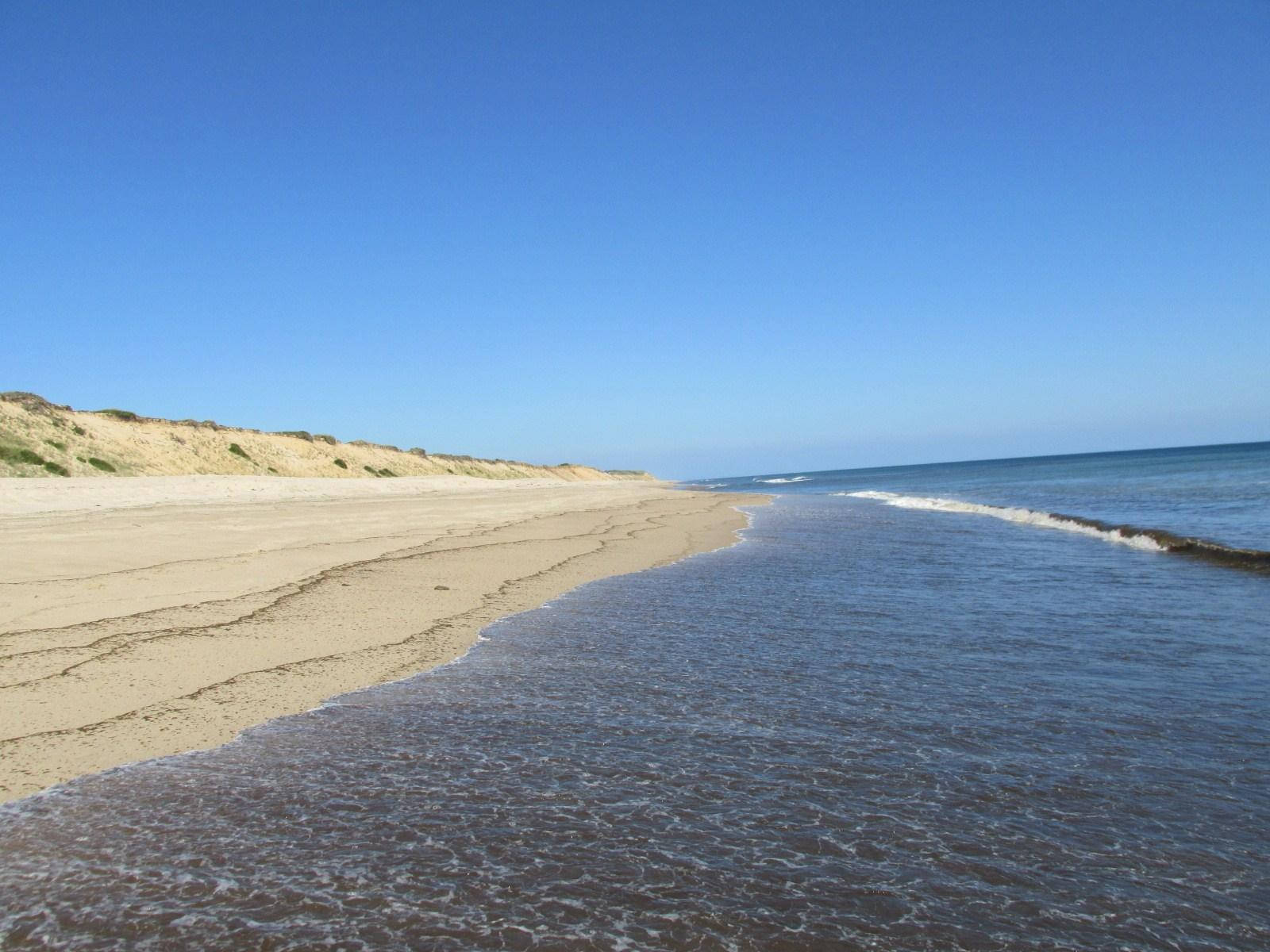 Cape Cod Peaceful Sea Waves Wallpaper