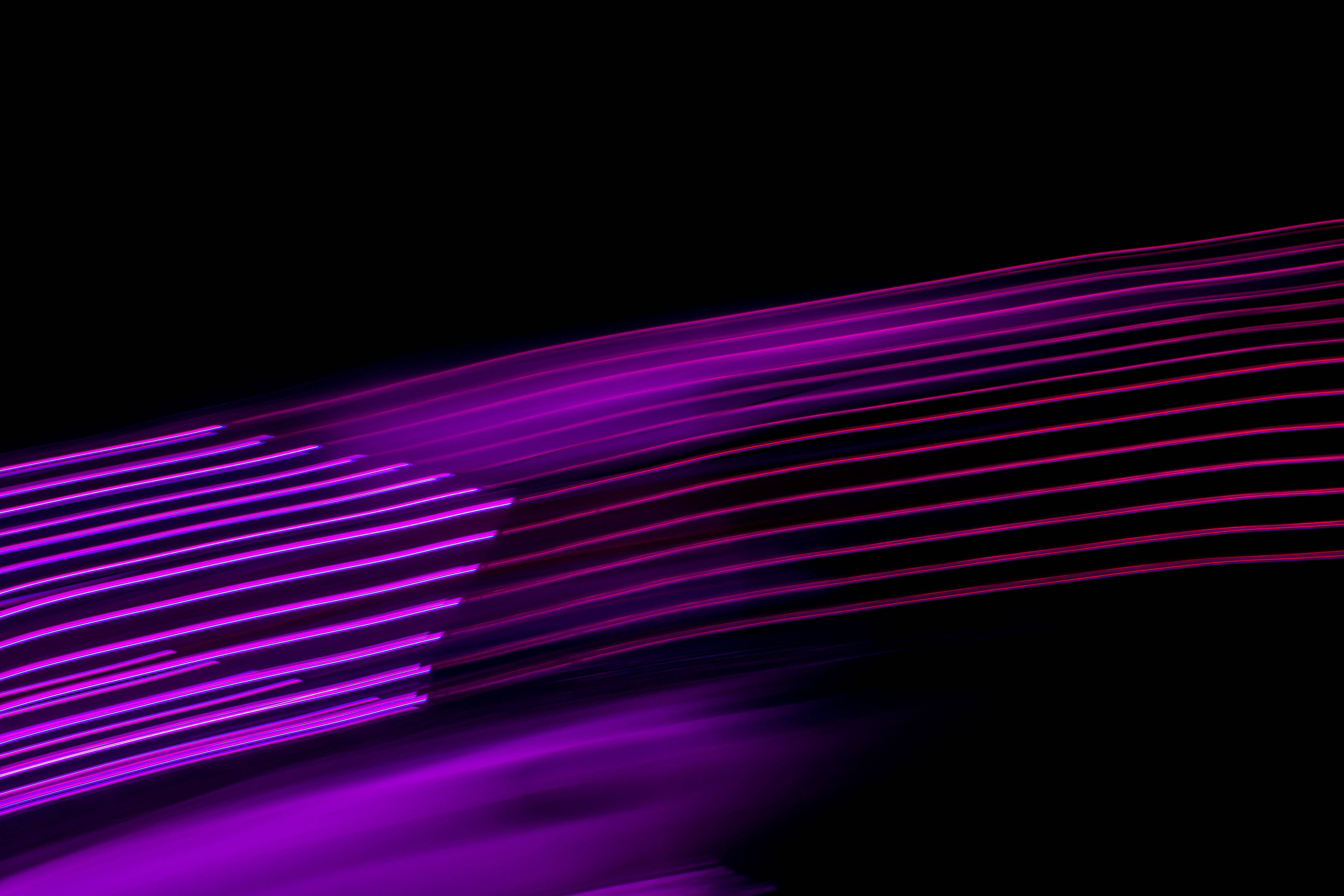 Caption: Enigmatic Black And Purple Light Streaks Wallpaper