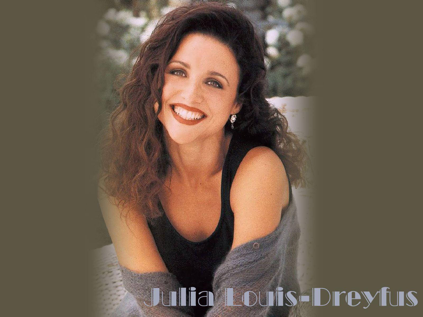 Caption: Julia Louis-dreyfus In Her Iconic Role As Elaine Benes Wallpaper