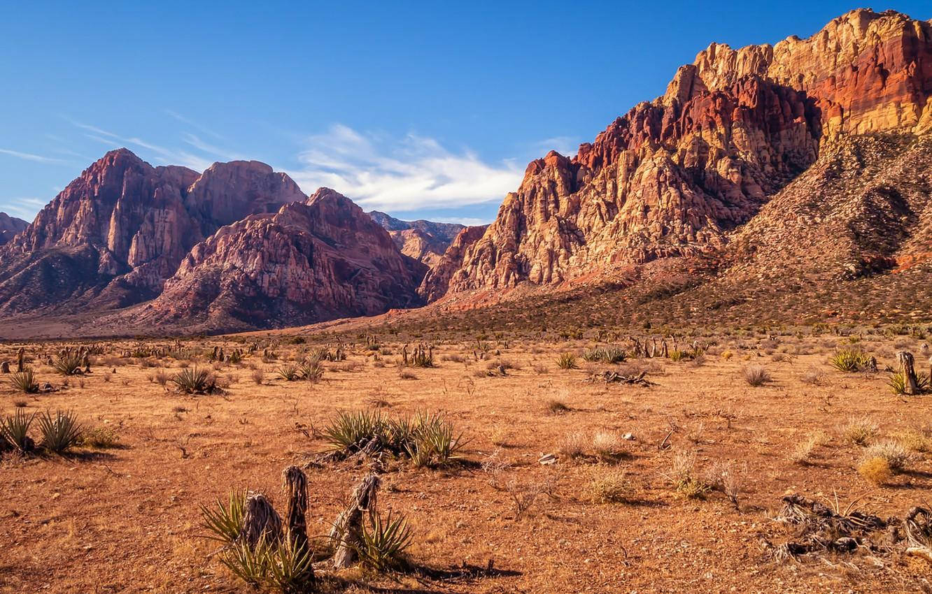 Caption: Mesmerizing Landscape Of Red Rock Canyon Conservation Area Wallpaper