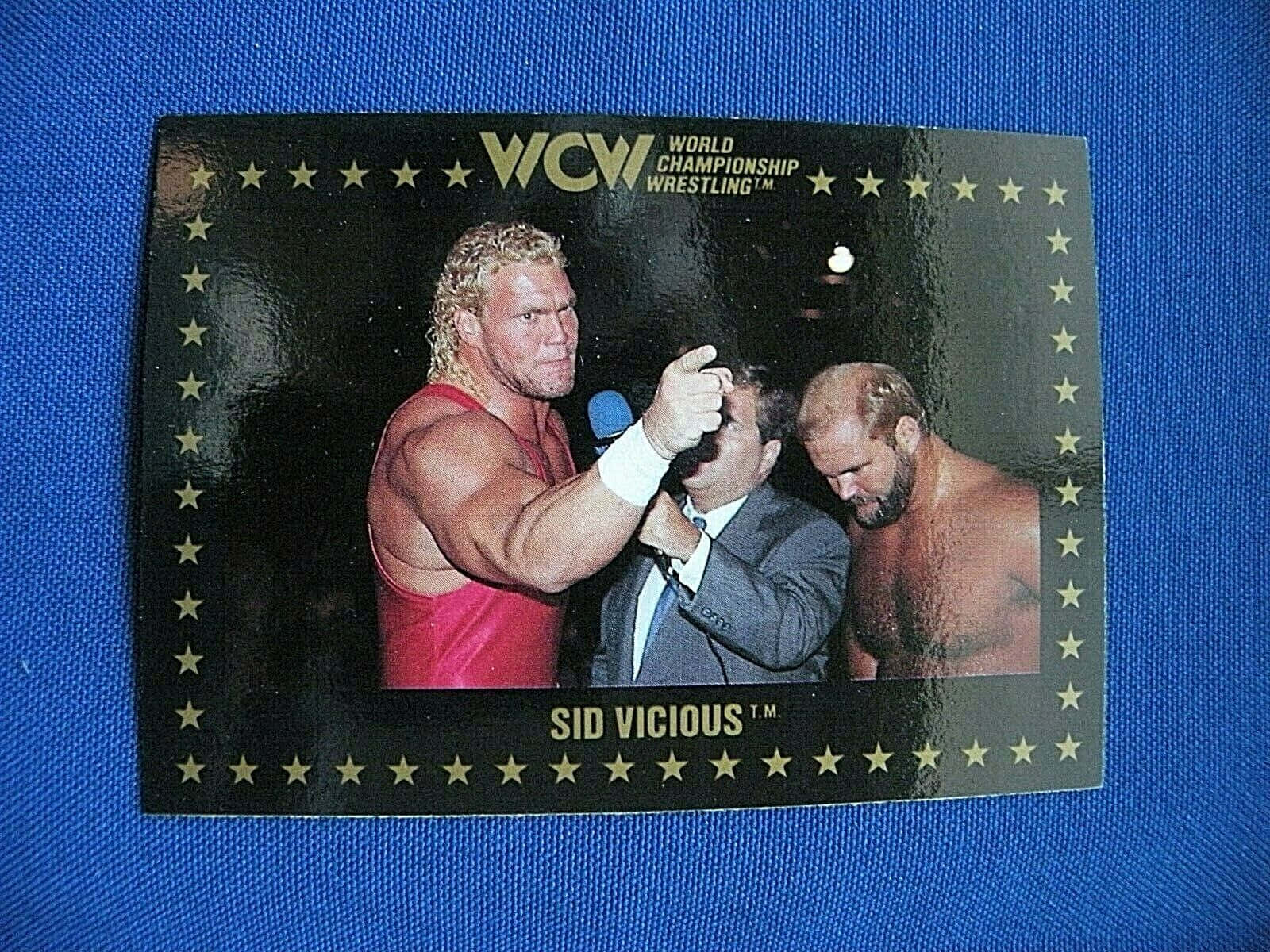 Caption: Powerful Wcw Wrestler Sid Vicious In Action Wallpaper