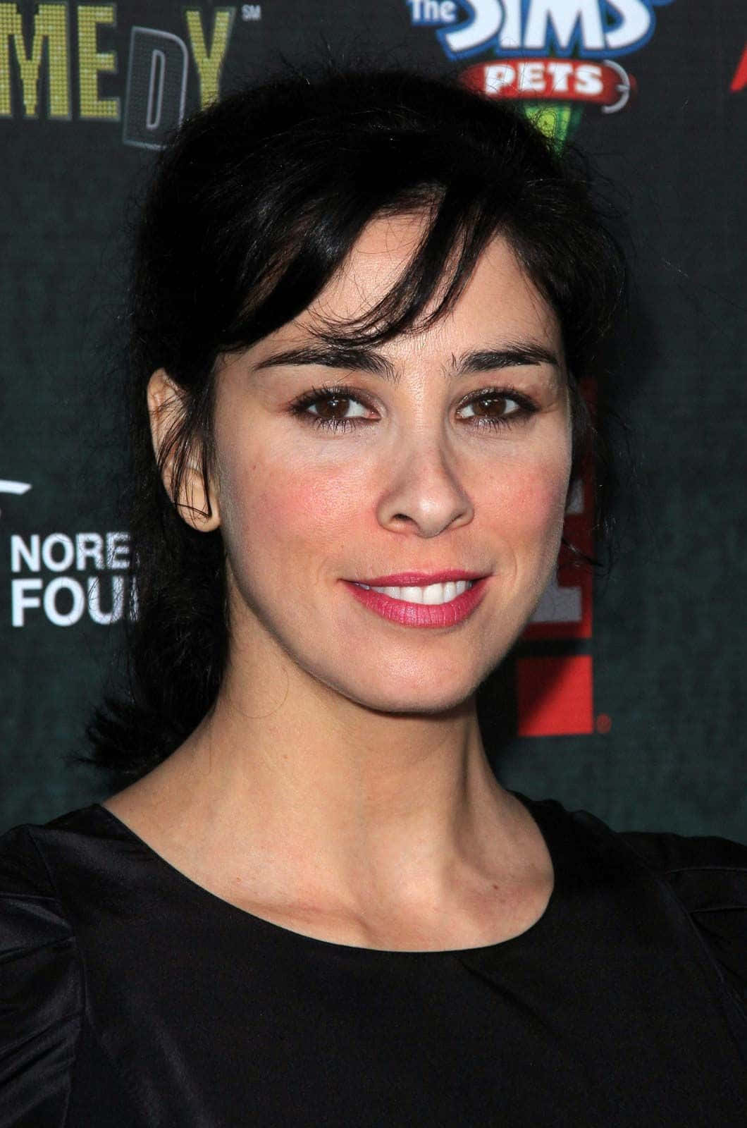 Caption: Sarah Silverman At A Red Carpet Event Wallpaper