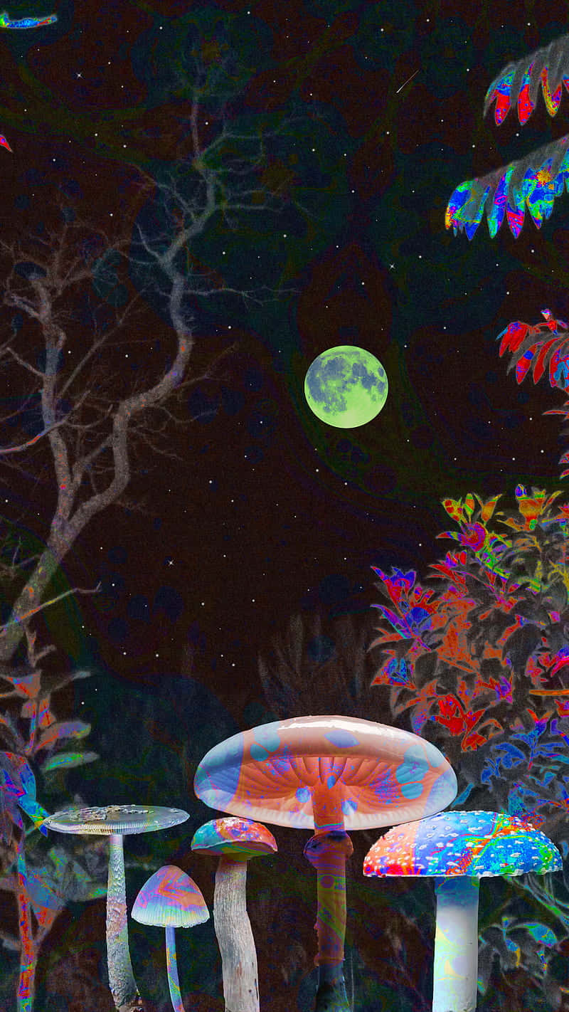 Caption: The Enchanting World Of Trippy Mushrooms Wallpaper