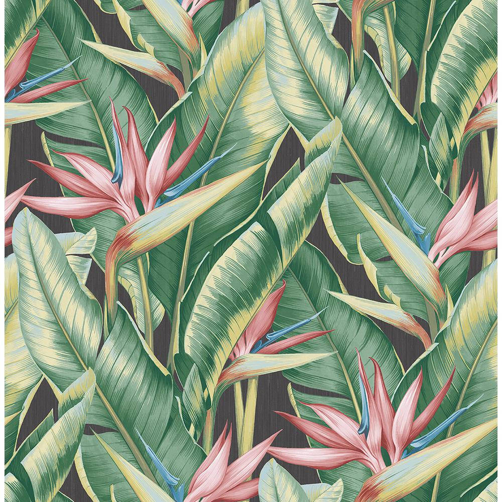 Caption: Tropical Elegance - Banana Leaves And Pink Flowers Wallpaper