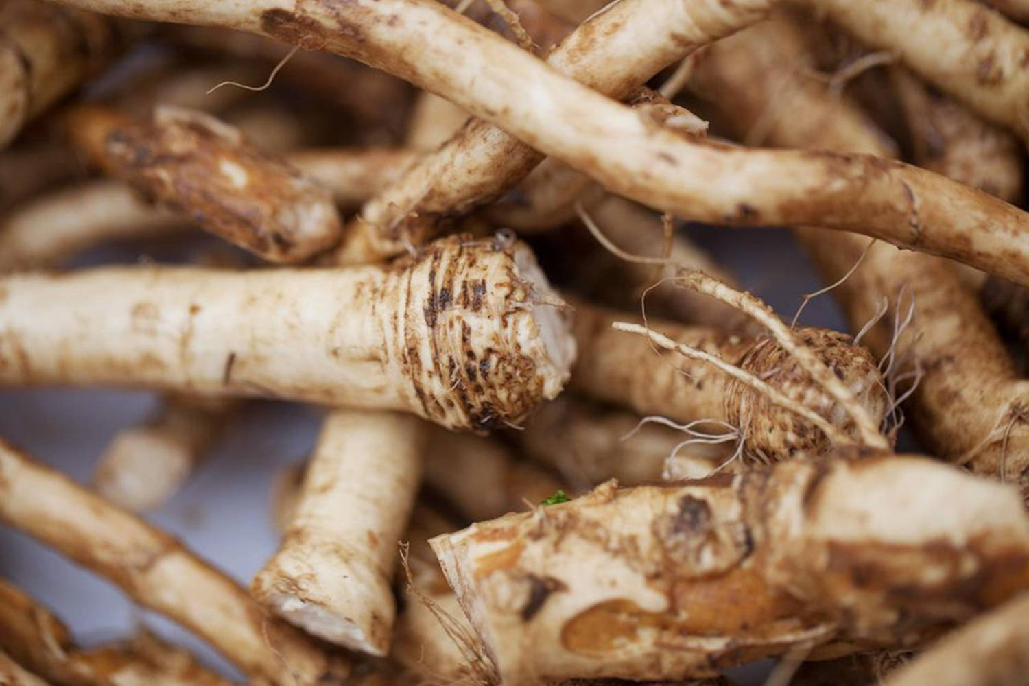 Caption: Vibrantly Fresh Horseradish With Distinct Root Hairs Wallpaper