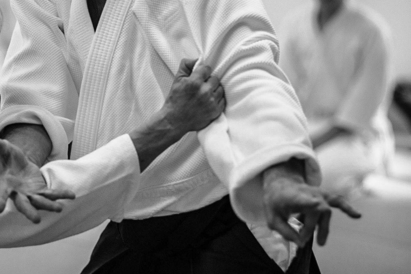 Captivating Monochrome Aikido Action Wallpaper