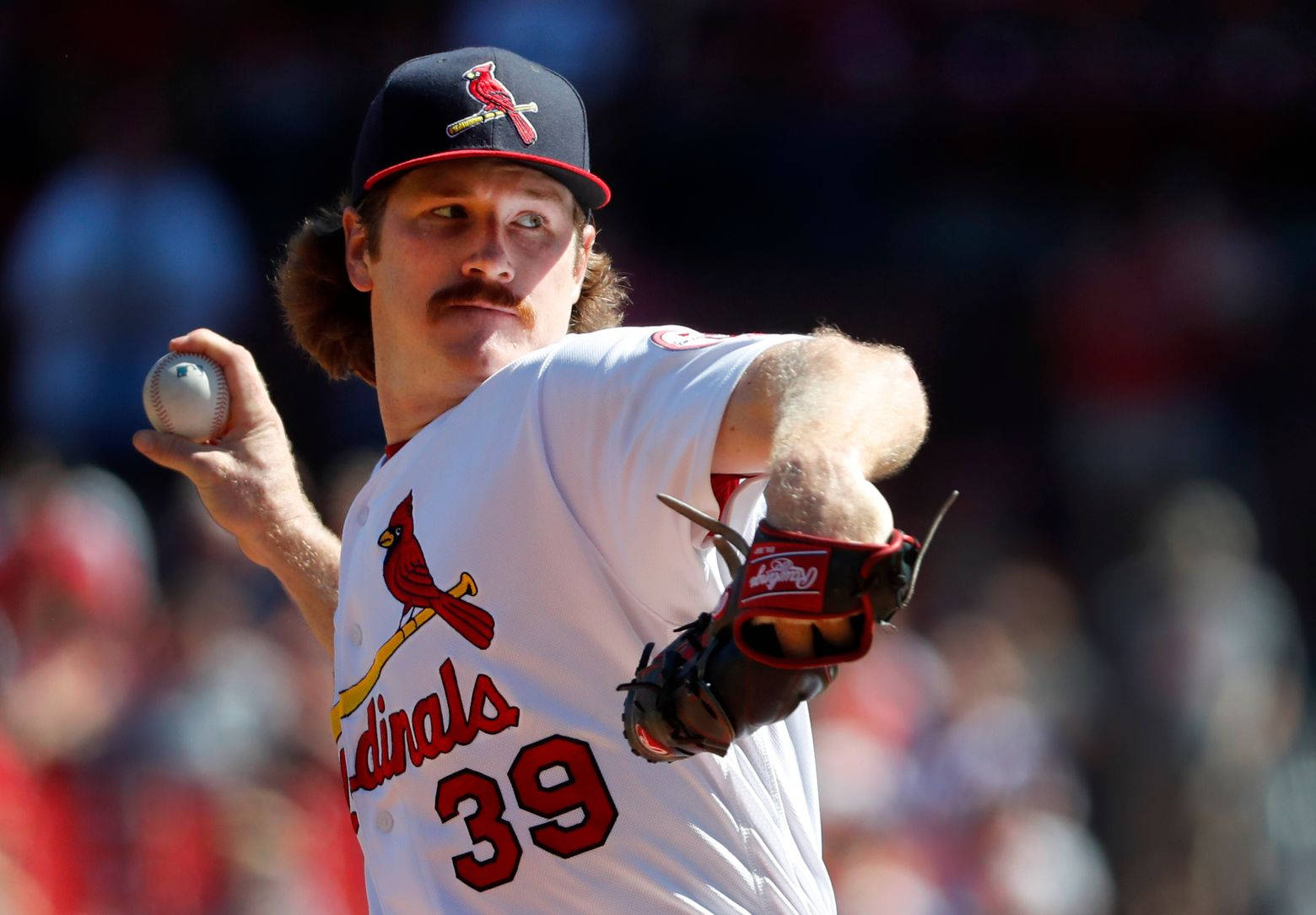 Cardinals Pitcher Miles Mikolas Wallpaper