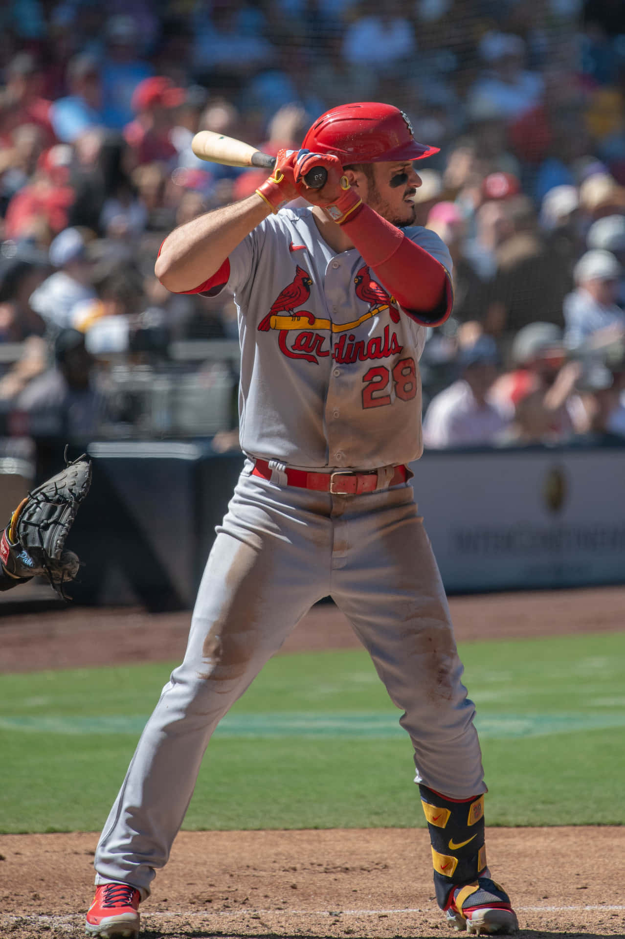 Cardinals Player At Bat Wallpaper