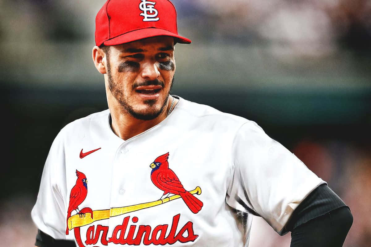 Cardinals Player Concentration Wallpaper