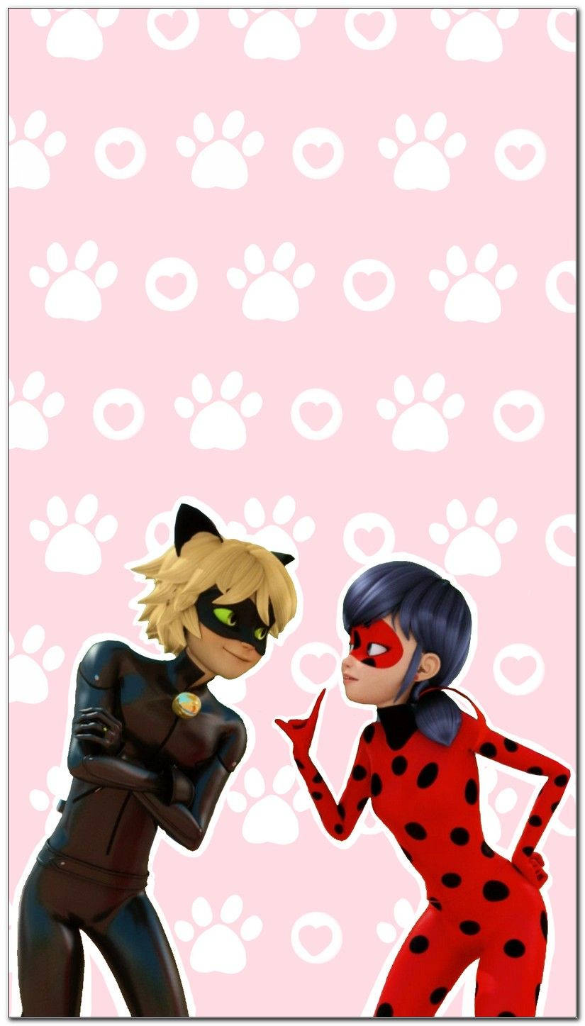 Cat Noir Paws And Heart Wallpaper