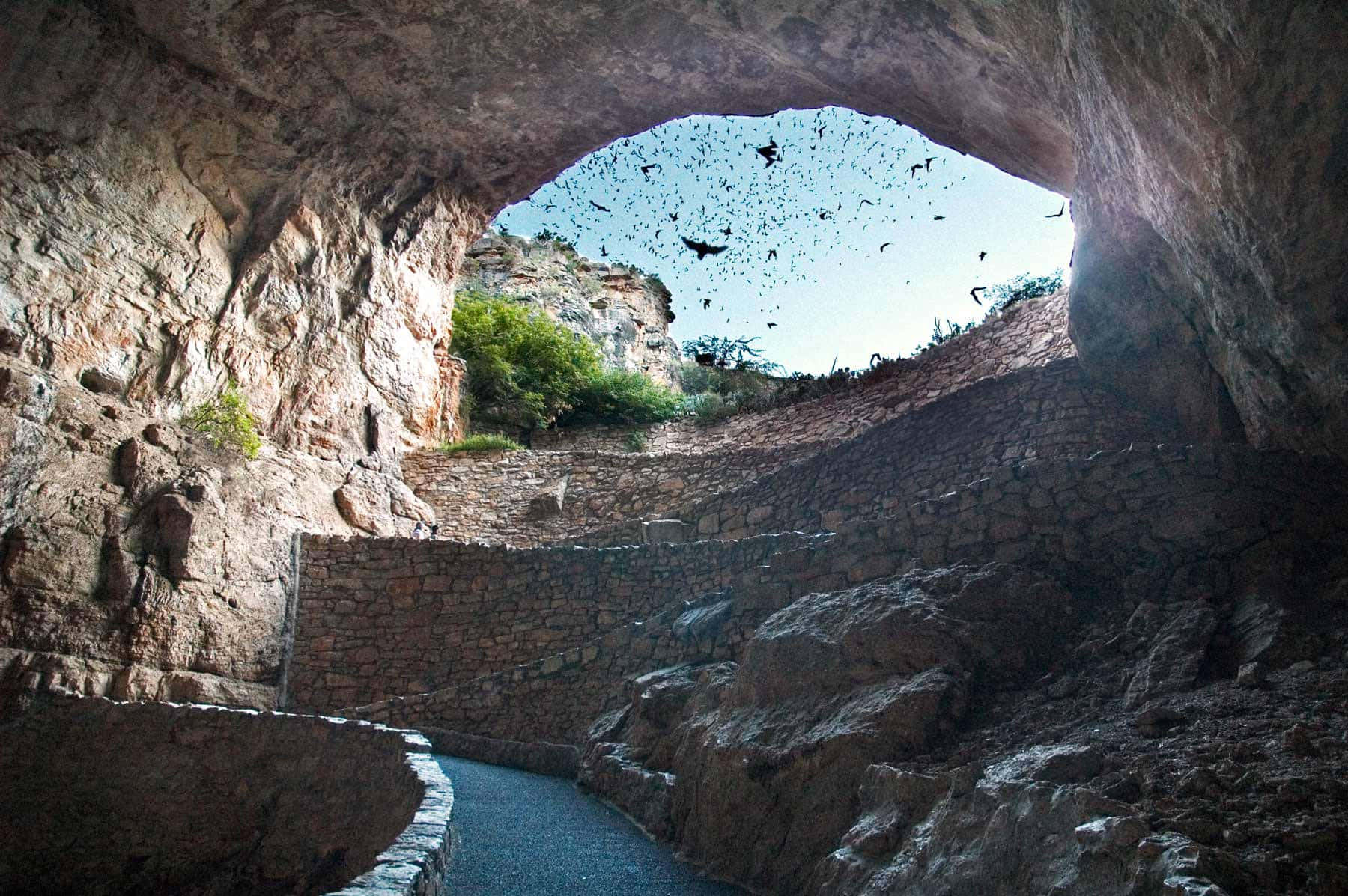 Cave View Carlsbad Caverns National Park Wallpaper
