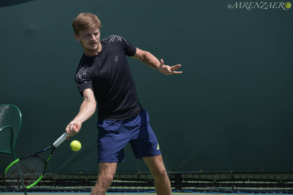 Cedric Tennis Pro David Goffin In Action Wallpaper