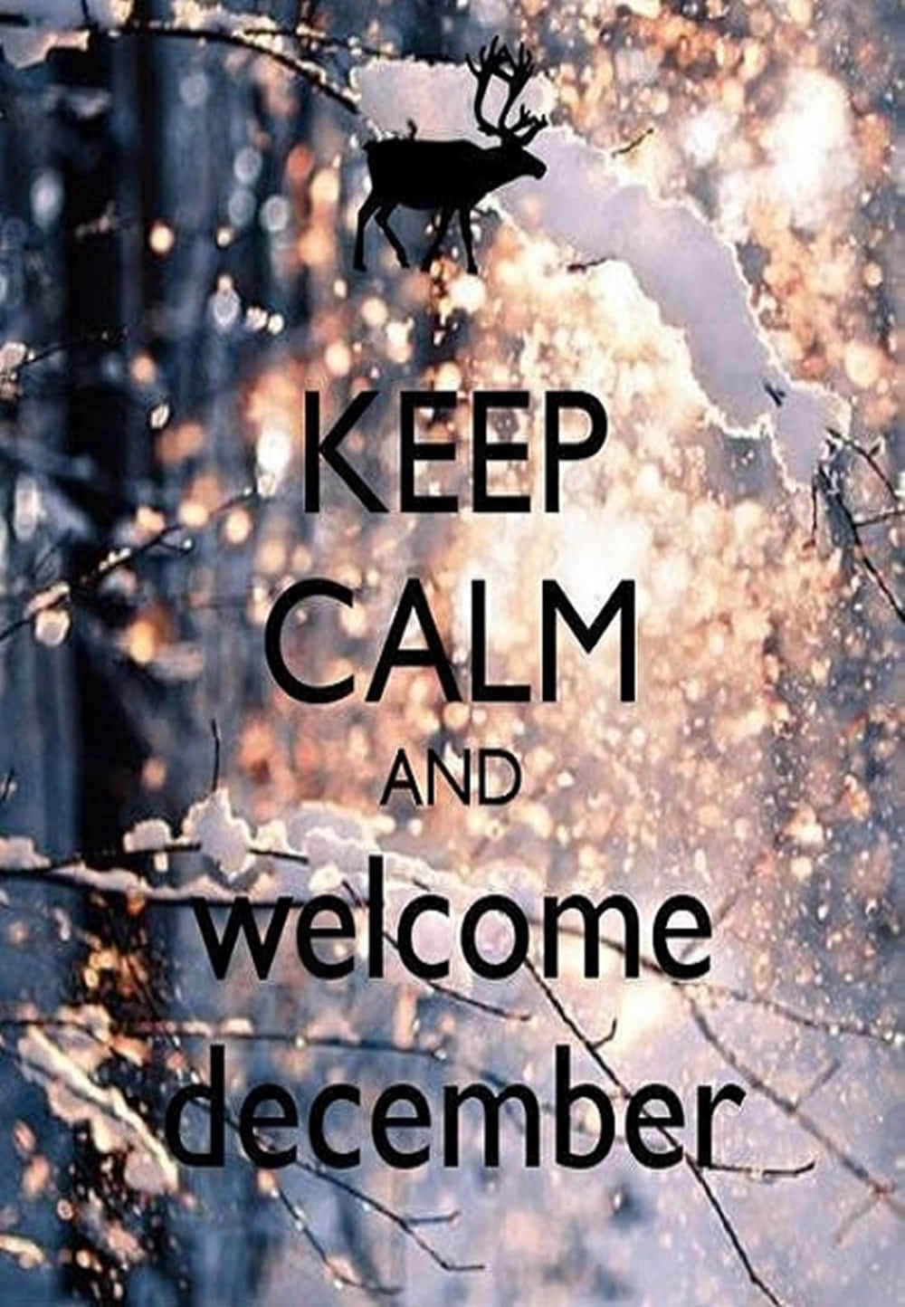 Celebrate The Beauty And Joy Of December Wallpaper