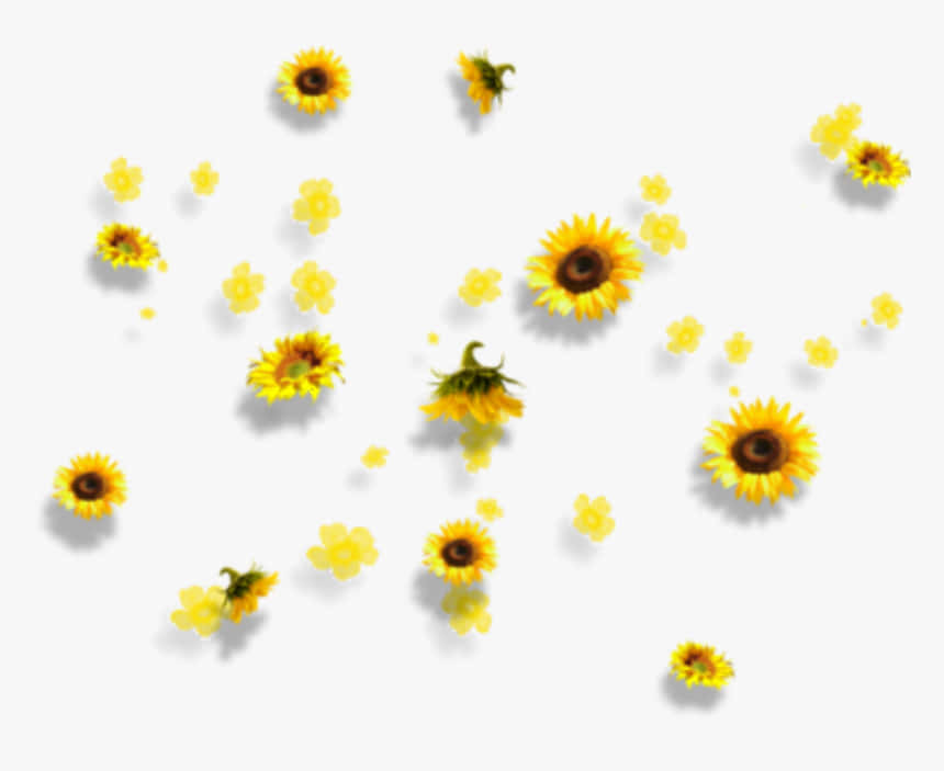 Celebrate The Beauty Of A Sunflower Yellow Summer Day With This Adorable Tumblr Aesthetic Wallpaper