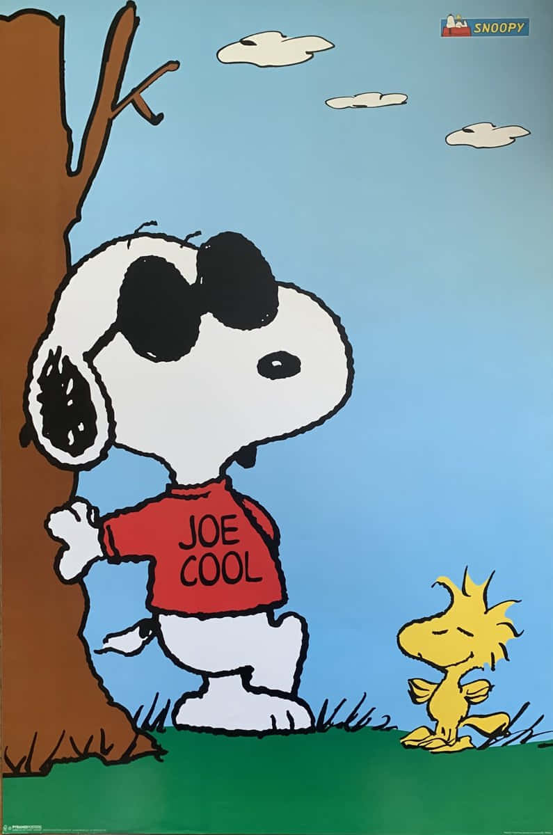 Celebrating A Chaotic & Fun-filled Birthday With Charlie Brown Wallpaper