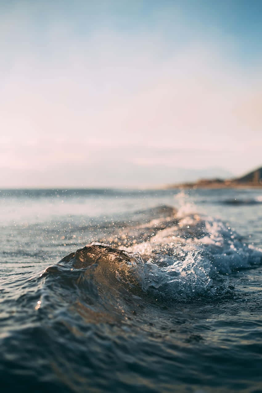 Celebrating The End Of Summer Wallpaper