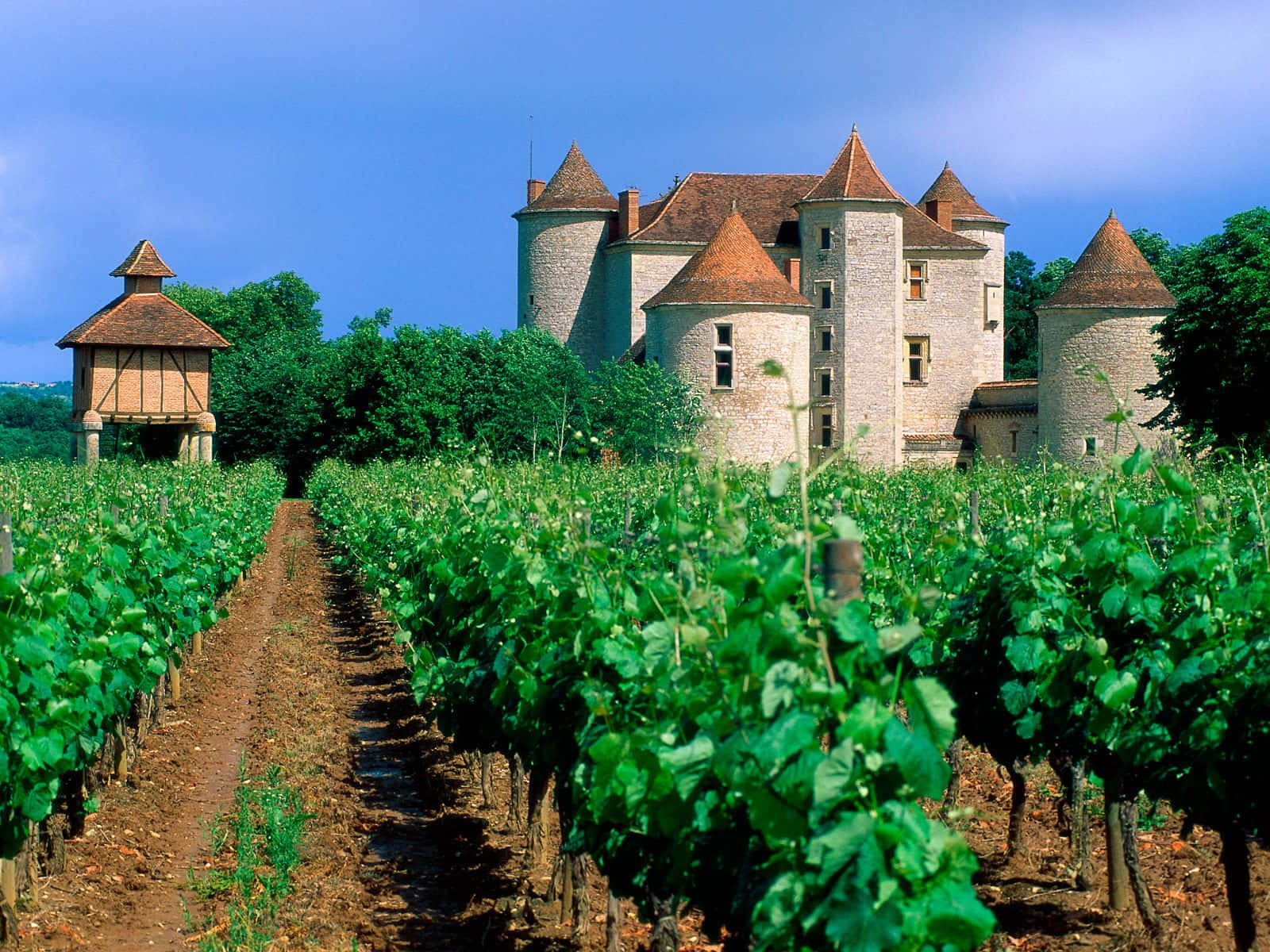 Château Lagrézette Vineyard Wallpaper