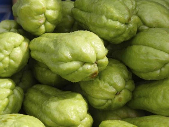 Chayote Healthy Vegetables Wallpaper