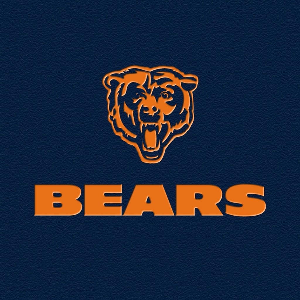 Chicago Sports Bears Digital Art Wallpaper