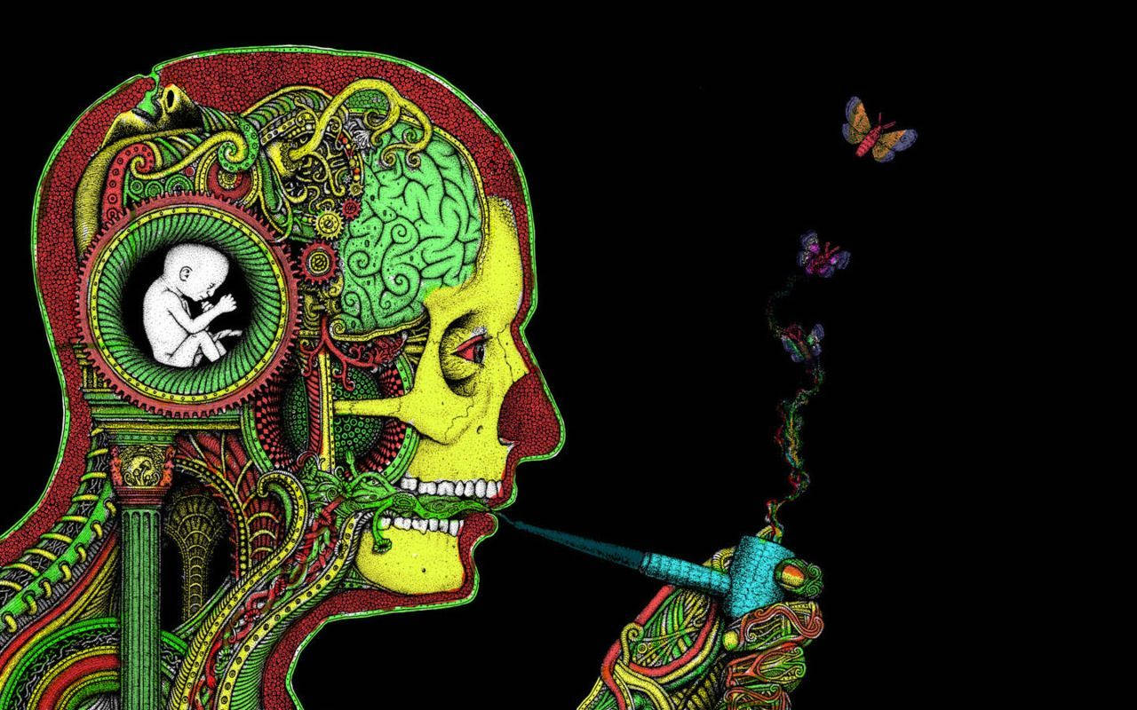 Chill Stoner Man Smoking Butterflies Wallpaper