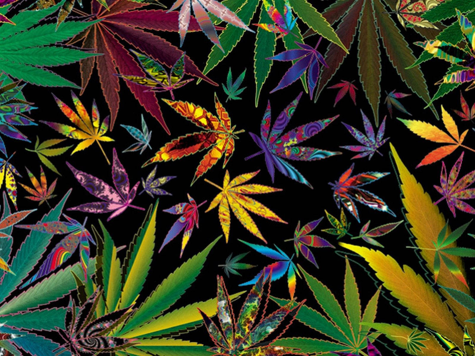 Chill Stoner Vibrant Weeds Wallpaper