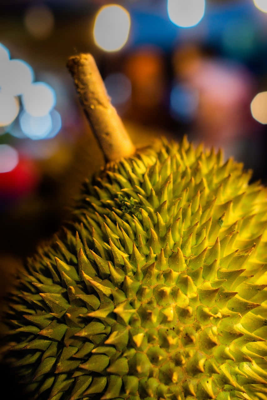 Close Up Durian Fruit Texture Wallpaper