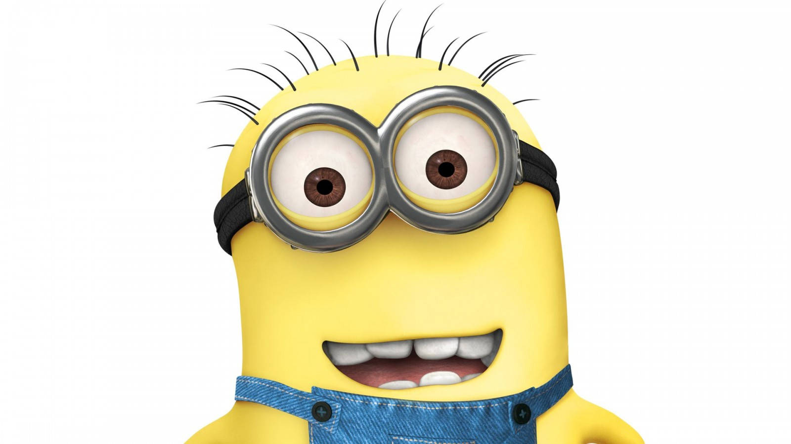 Close Up Larry Minion Desktop Wallpaper