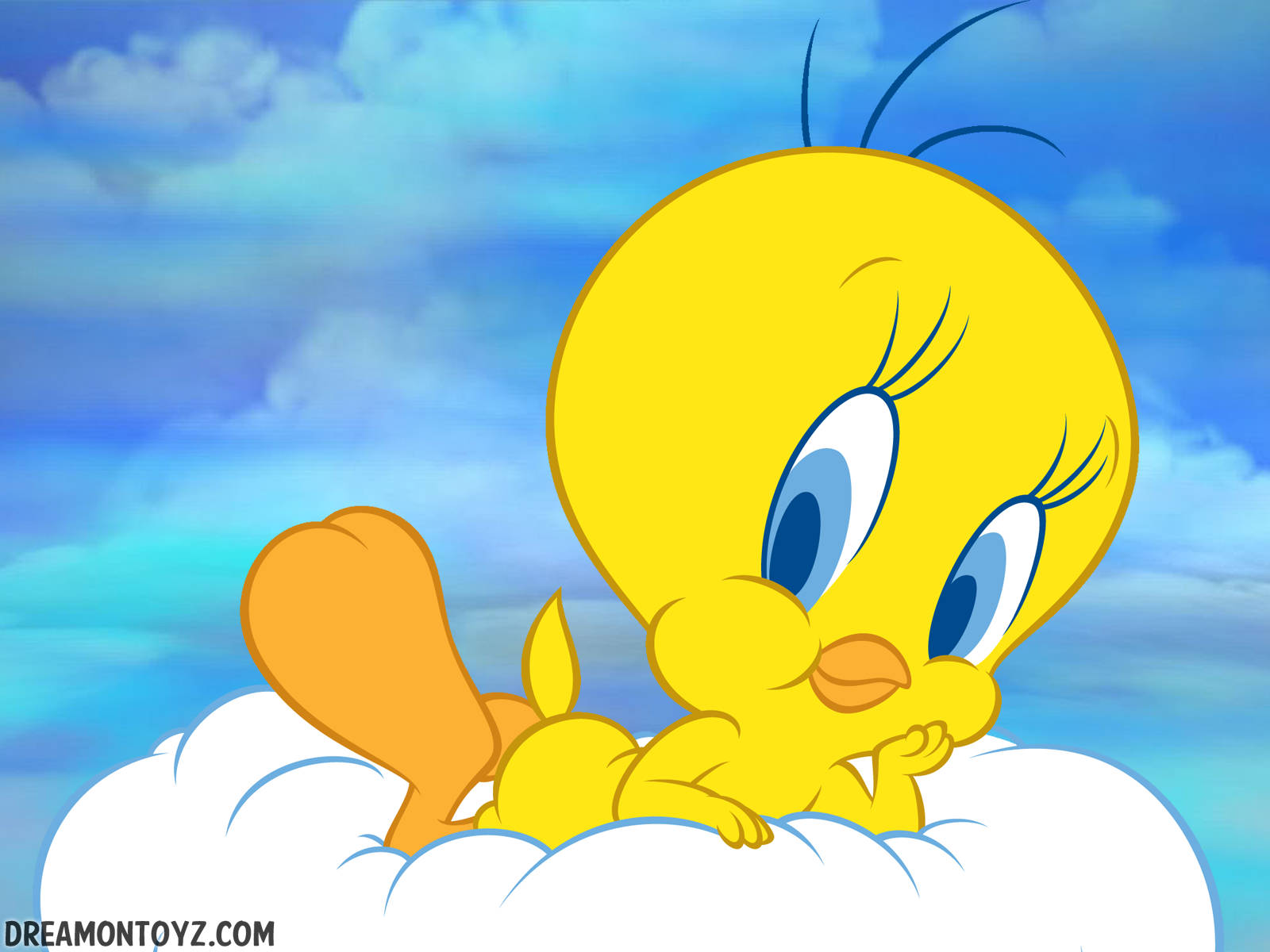 Close Up Tweety On Cloud Wallpaper