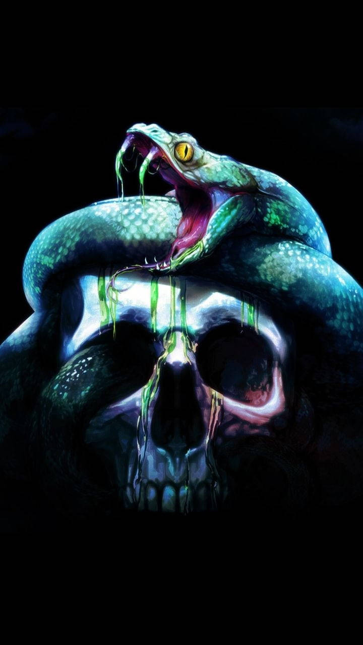 Cobra Digital Art On Skull Aesthetic Wallpaper